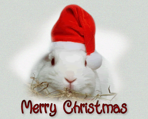 Merry_Christmas_Bunny