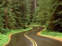 winding road2